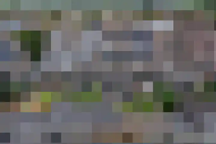 Chopindreef 51 Harderwijk thumbnail 42