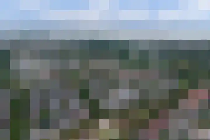 Chopindreef 51 Harderwijk thumbnail 44