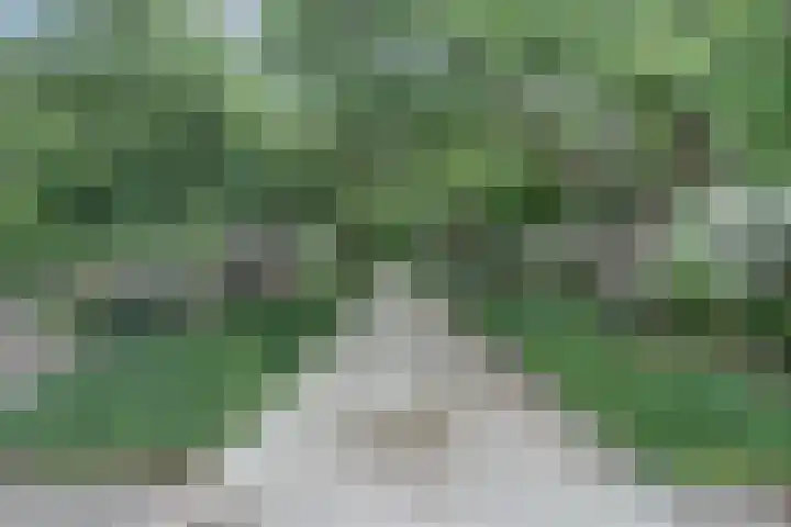 Chopindreef 51 Harderwijk thumbnail 7