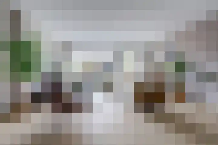 Chopindreef 51 Harderwijk thumbnail 9