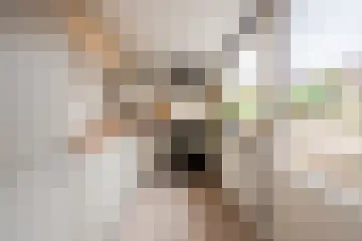 Chopindreef 64 Harderwijk thumbnail 10