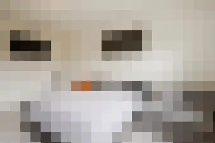 Chopindreef 64 Harderwijk thumbnail 18