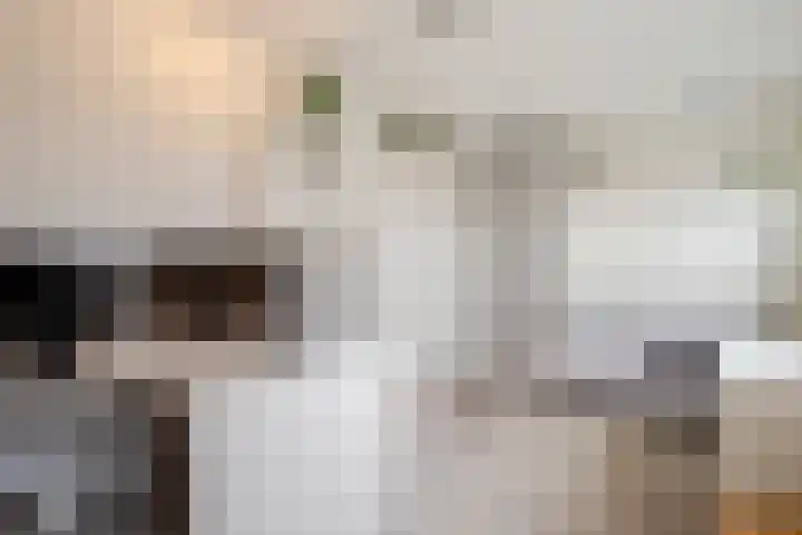 Chopindreef 64 Harderwijk thumbnail 23