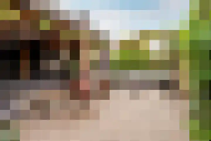 Chopindreef 64 Harderwijk thumbnail 29