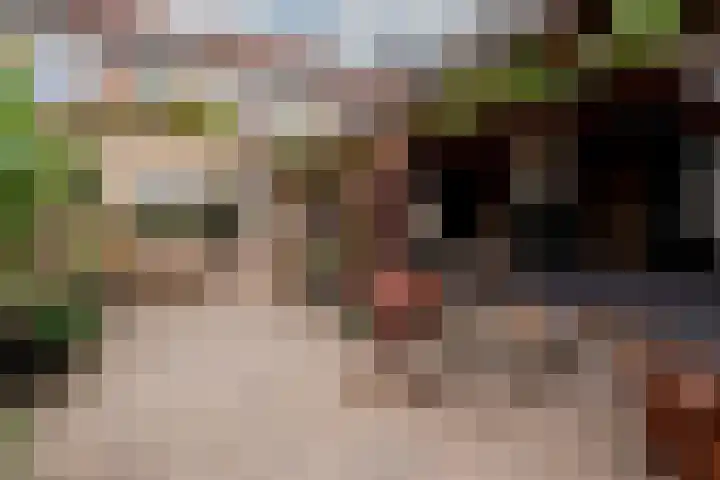 Chopindreef 64 Harderwijk thumbnail 30