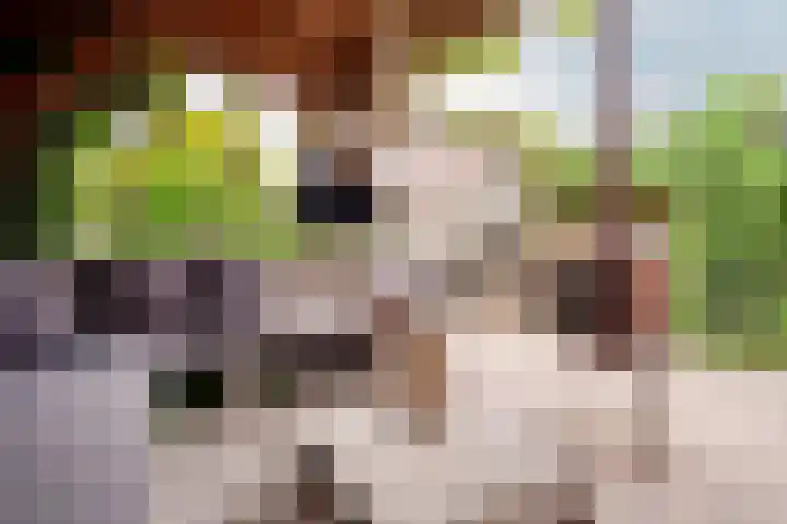 Chopindreef 64 Harderwijk thumbnail 31