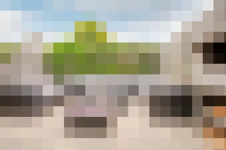 Chopindreef 64 Harderwijk thumbnail 36