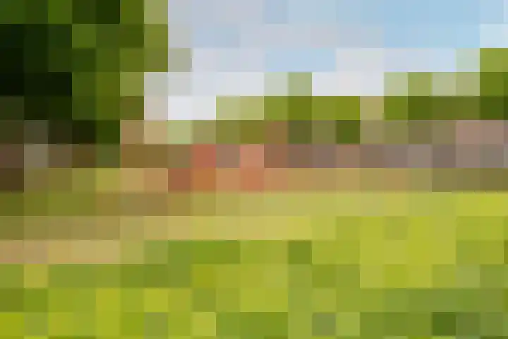 Chopindreef 64 Harderwijk thumbnail 39