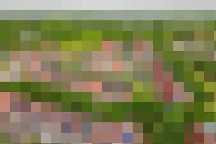 Chopindreef 64 Harderwijk thumbnail 42