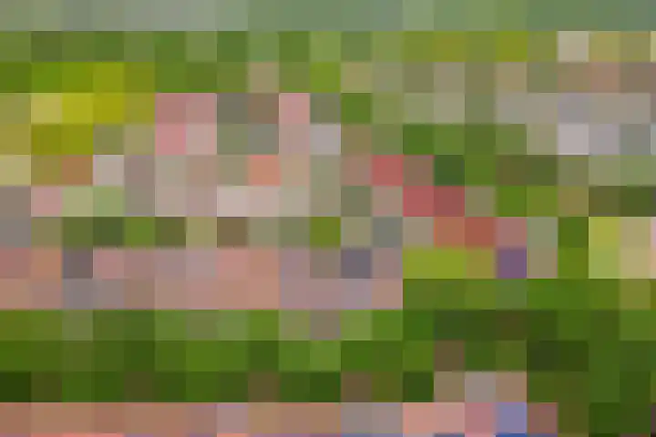 Chopindreef 64 Harderwijk thumbnail 43