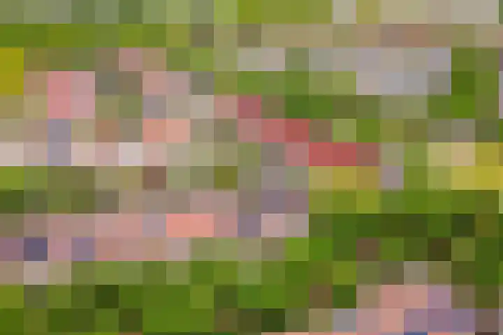 Chopindreef 64 Harderwijk thumbnail 44