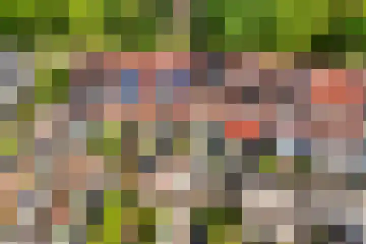 Chopinlaan 115 Zeist thumbnail 28