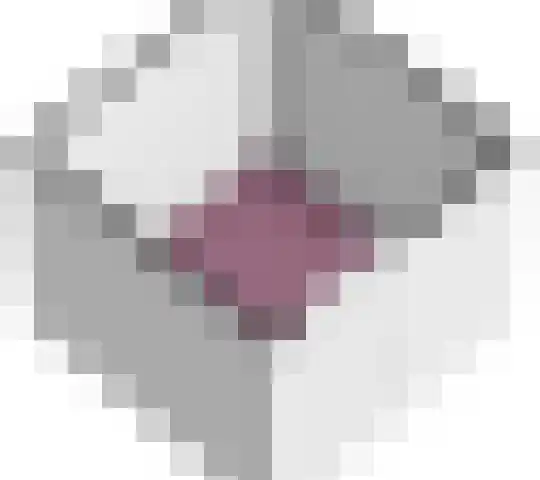 Chopinlaan 115 Zeist thumbnail 39
