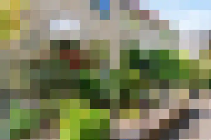 Chopinlaan 115 Zeist thumbnail 6
