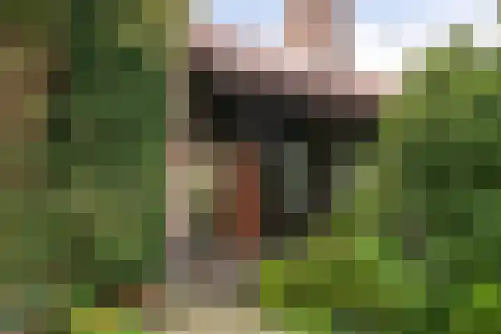 Chopinlaan 129 Vlissingen thumbnail 11