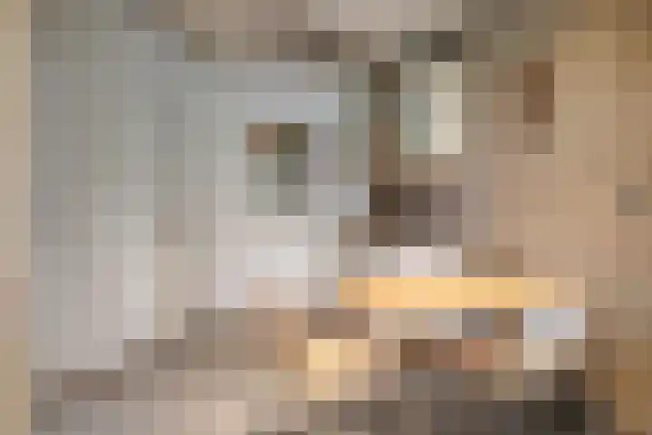 Chopinlaan 129 Vlissingen thumbnail 25