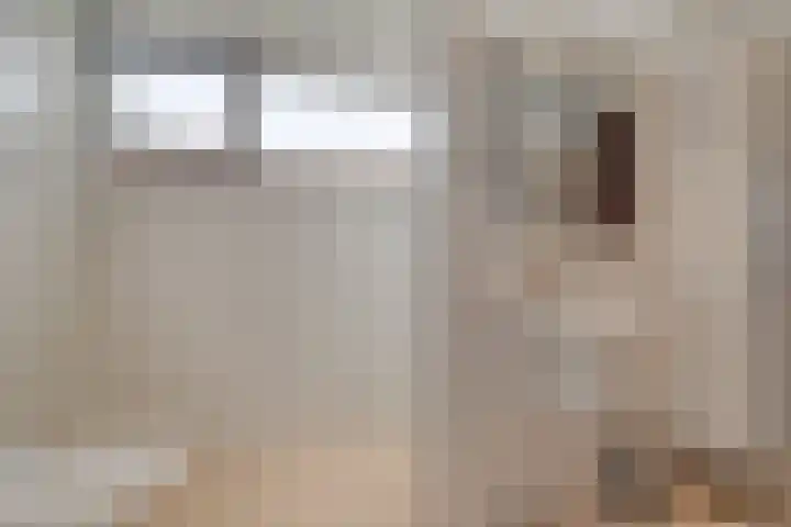Chopinlaan 129 Vlissingen thumbnail 39