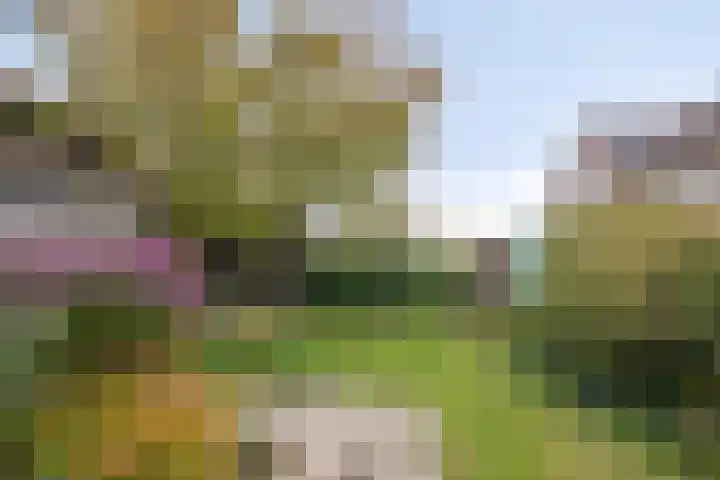 Chopinlaan 129 Vlissingen thumbnail 4