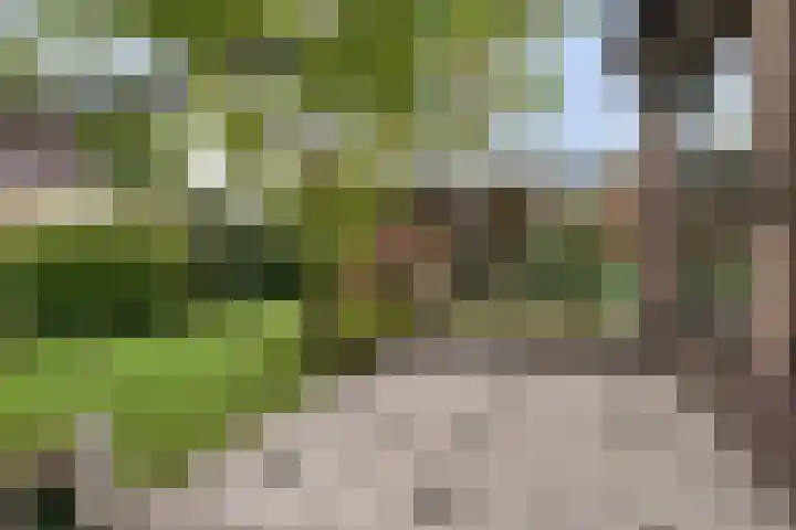 Chopinlaan 129 Vlissingen thumbnail 47