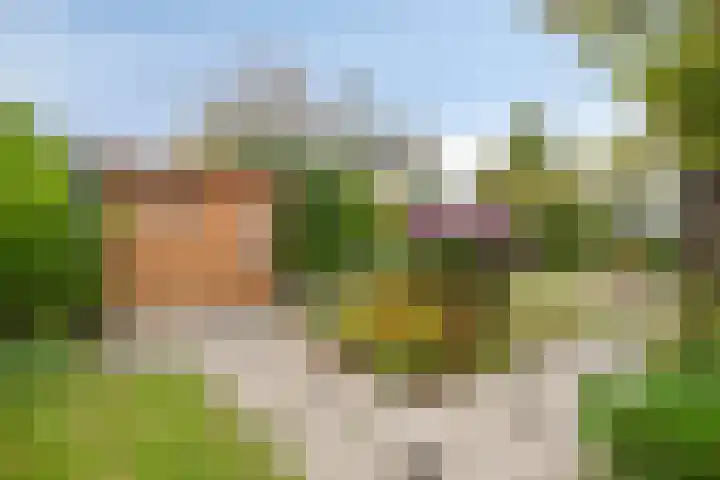 Chopinlaan 129 Vlissingen thumbnail 49