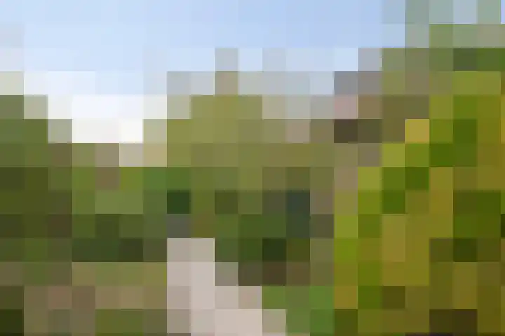 Chopinlaan 129 Vlissingen thumbnail 5