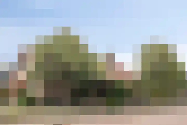 Chopinlaan 129 Vlissingen thumbnail 8