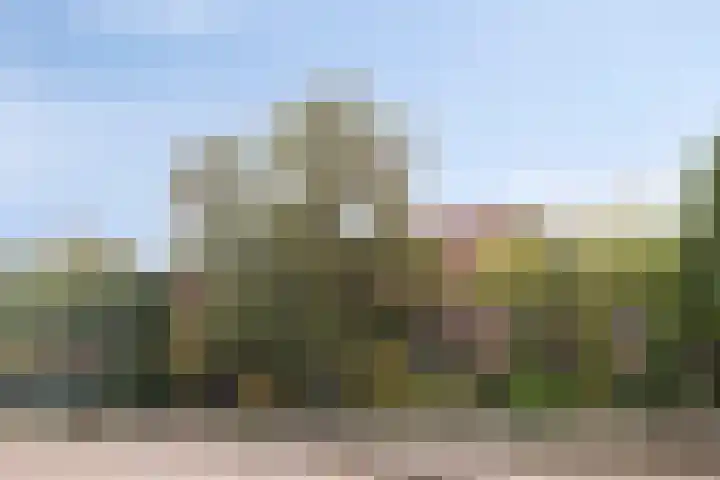Chopinlaan 129 Vlissingen thumbnail 9