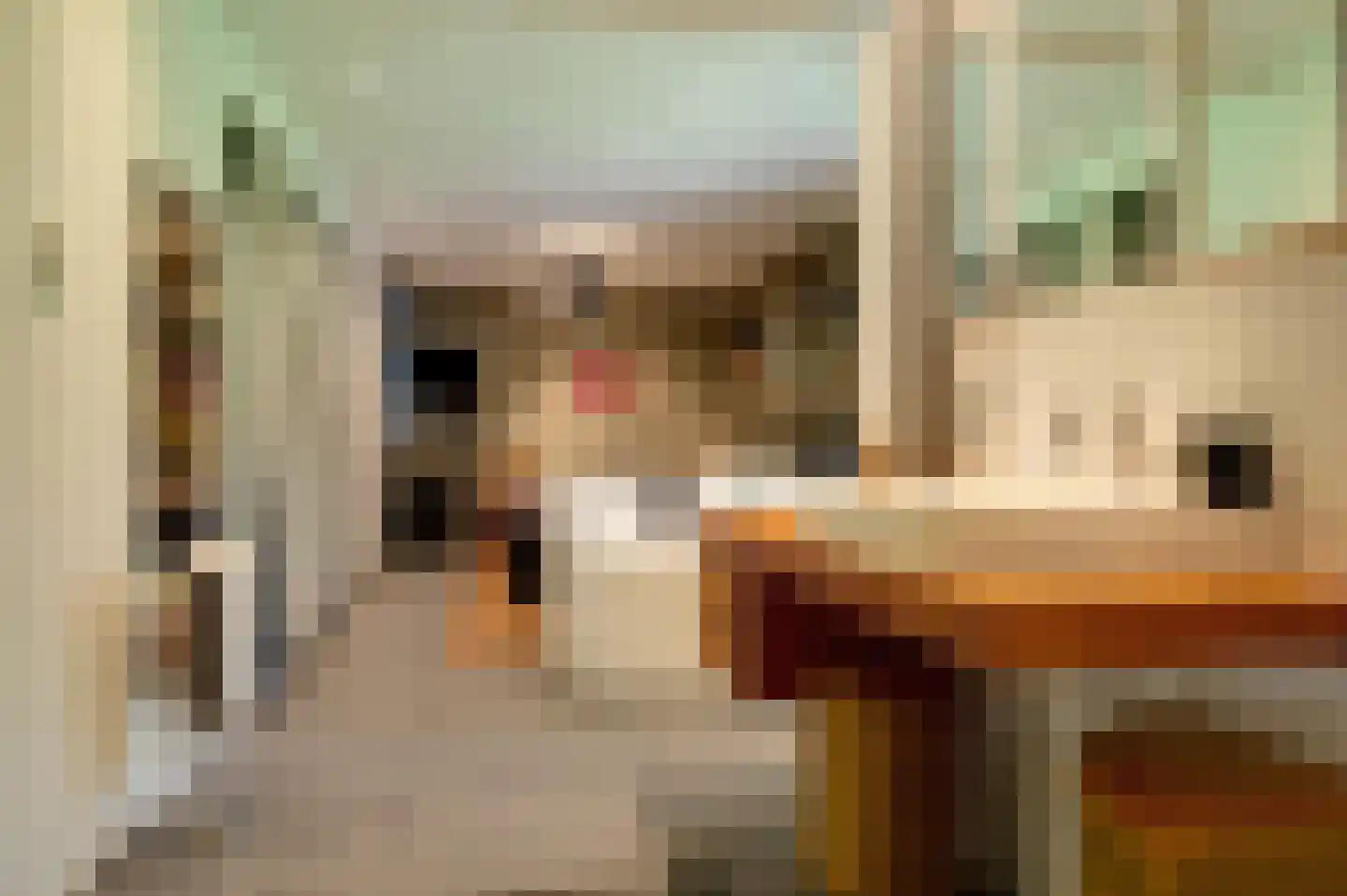 Chopinlaan 13 Hoogezand thumbnail 30
