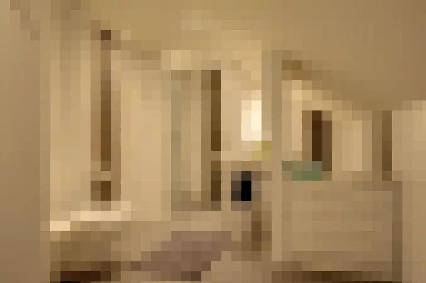 Chopinlaan 13 Hoogezand thumbnail 38