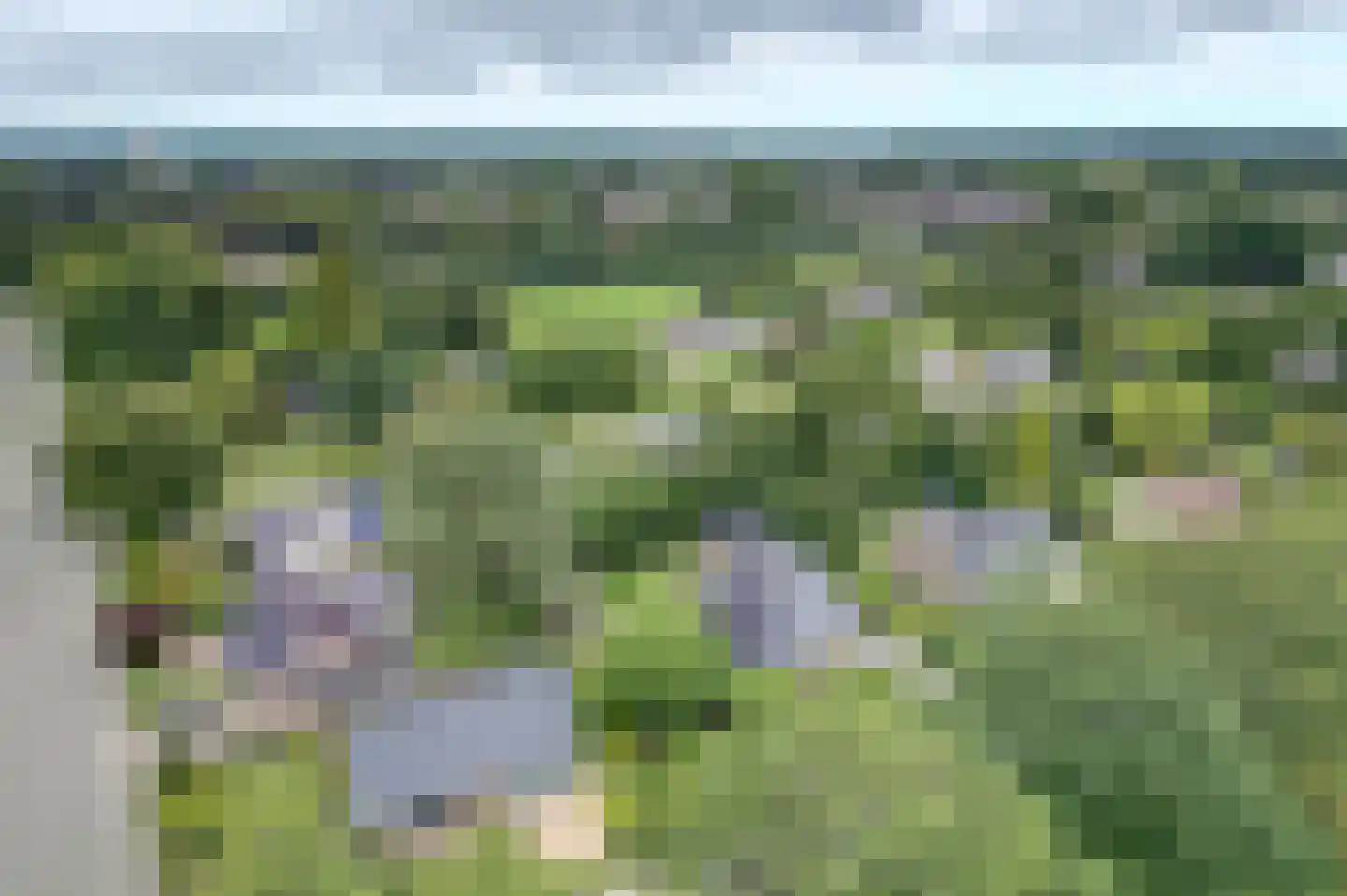 Chopinlaan 13 Hoogezand thumbnail 4