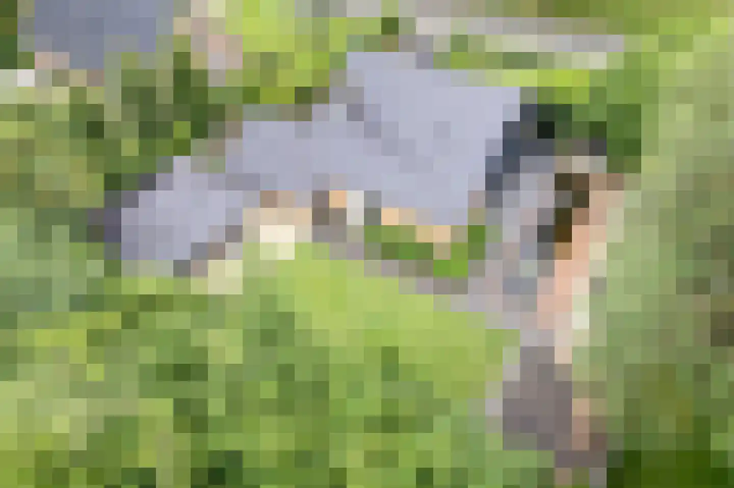 Chopinlaan 13 Hoogezand thumbnail 6
