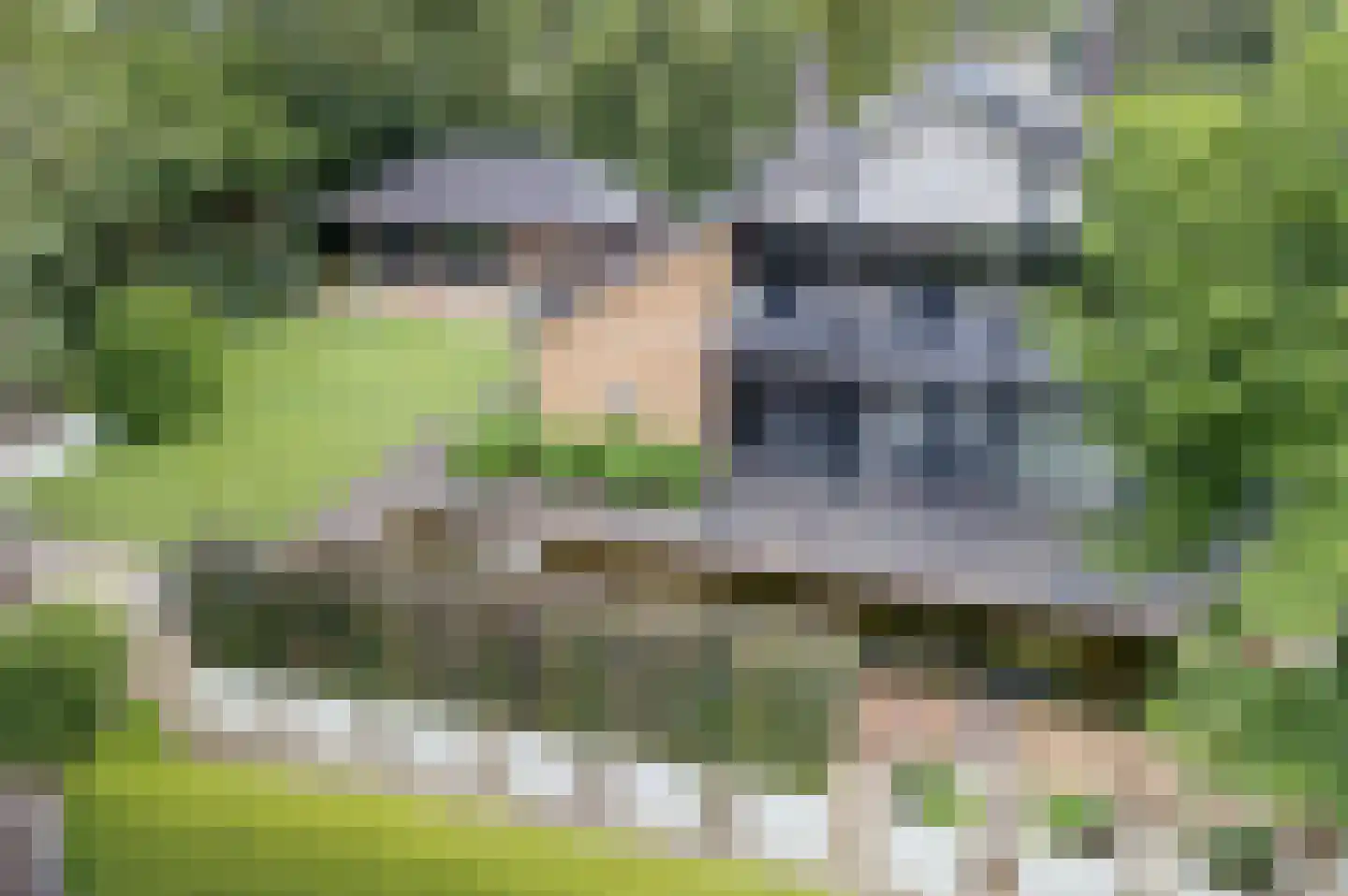 Chopinlaan 13 Hoogezand thumbnail 8