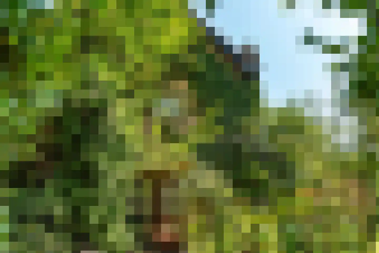 Chopinlaan 14 Baarn thumbnail 14