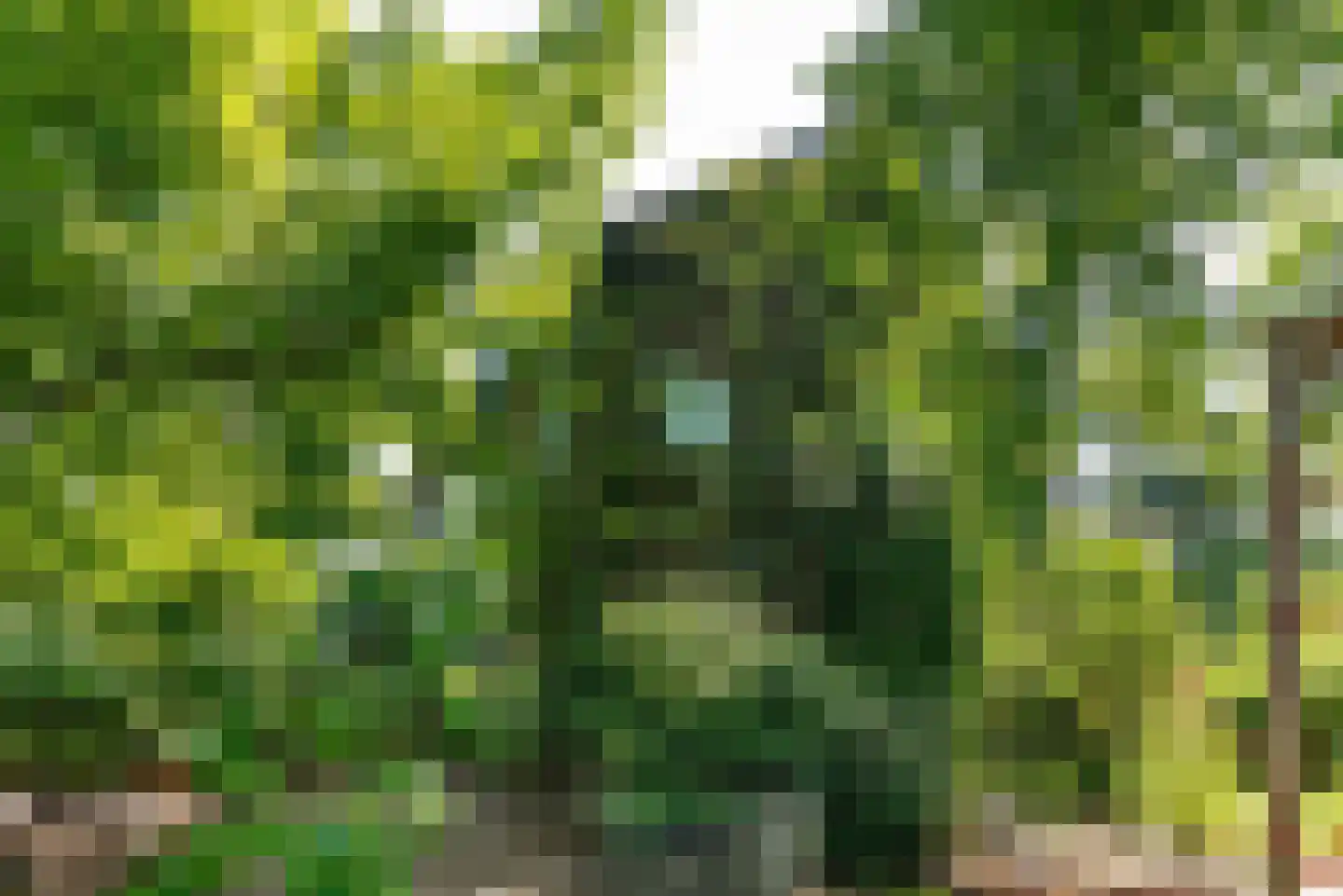 Chopinlaan 14 Baarn thumbnail 15
