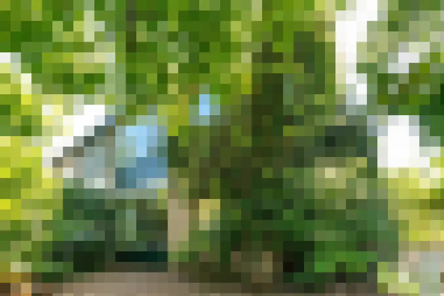Chopinlaan 14 Baarn thumbnail 16