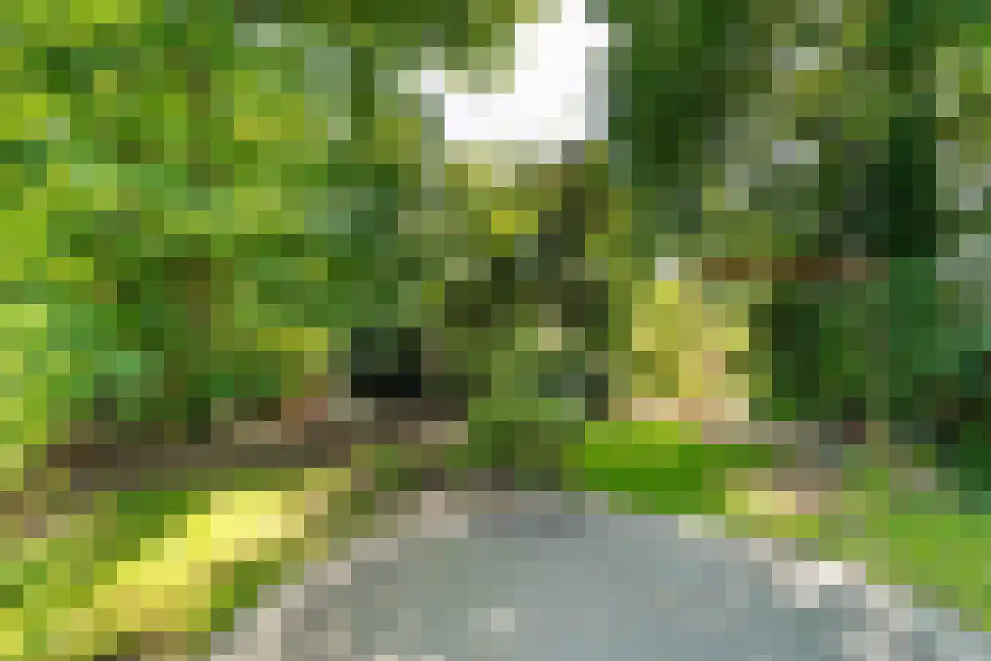 Chopinlaan 14 Baarn thumbnail 17
