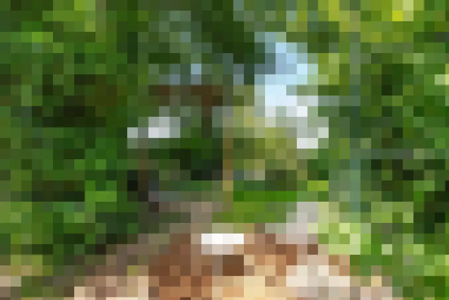 Chopinlaan 14 Baarn thumbnail 18