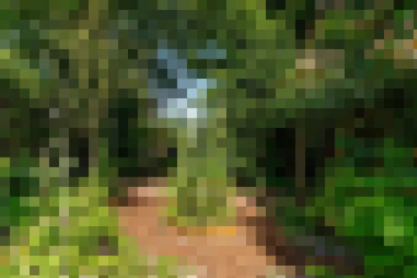 Chopinlaan 14 Baarn thumbnail 19