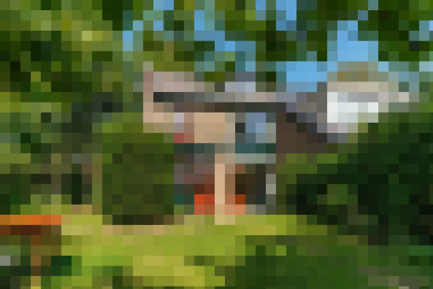 Chopinlaan 14 Baarn thumbnail 20