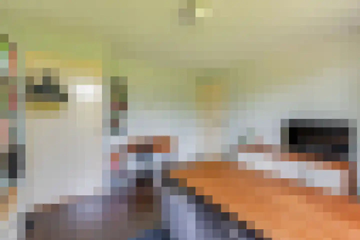 Chopinlaan 14 Baarn thumbnail 28
