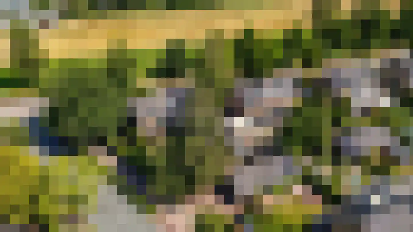 Chopinlaan 14 Baarn thumbnail 38