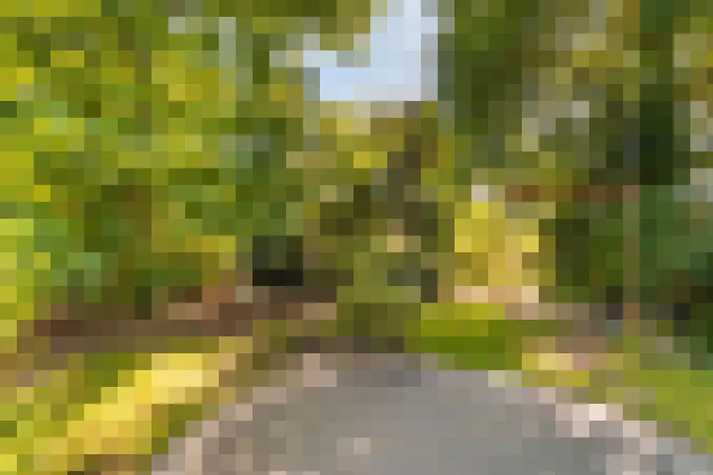 Chopinlaan 14 Baarn thumbnail 4