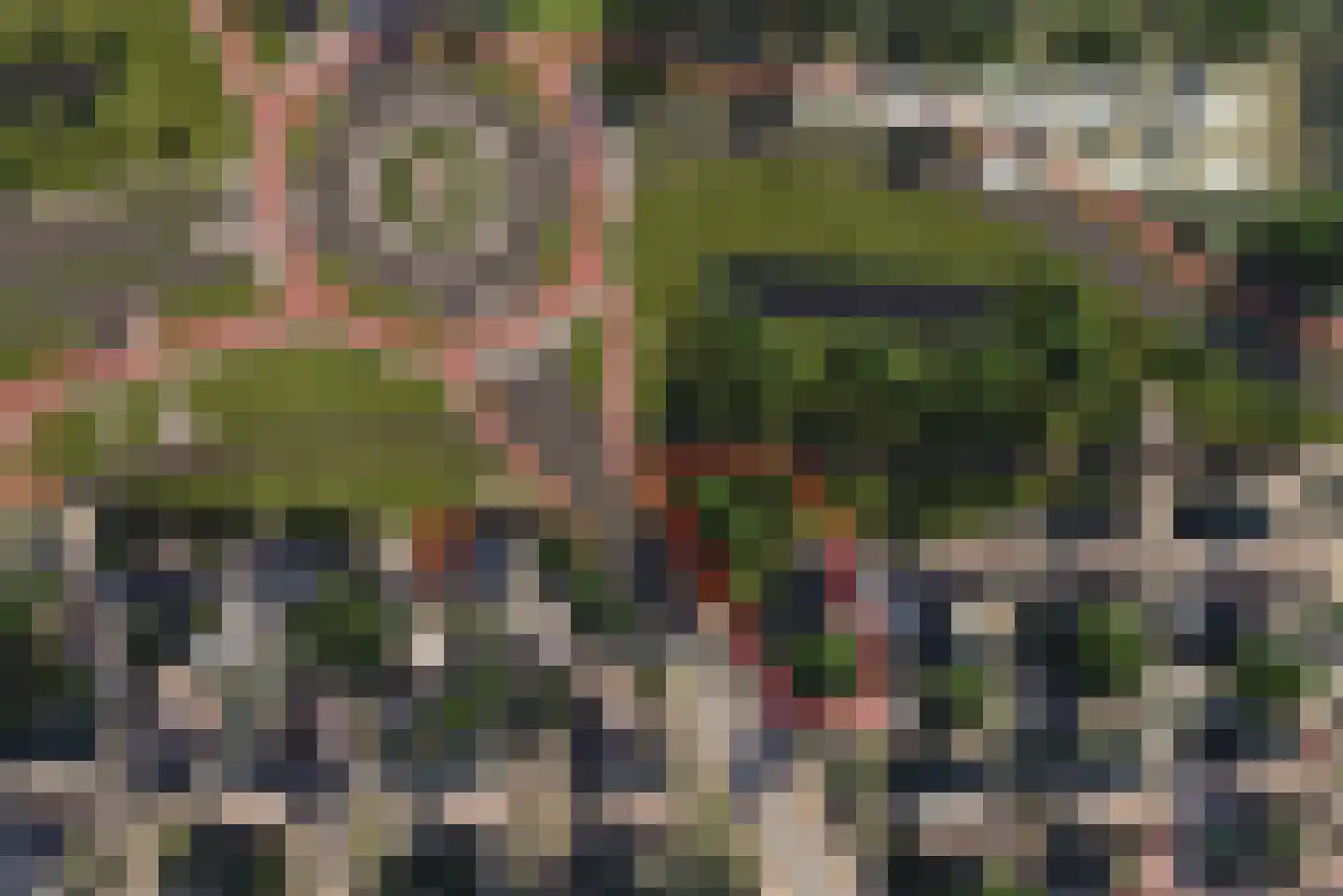 Chopinlaan 14 Baarn thumbnail 40