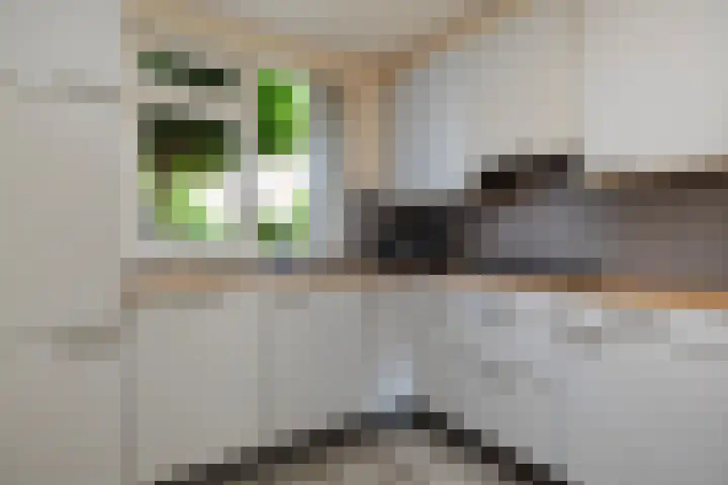 Chopinlaan 14 Zeist thumbnail 11