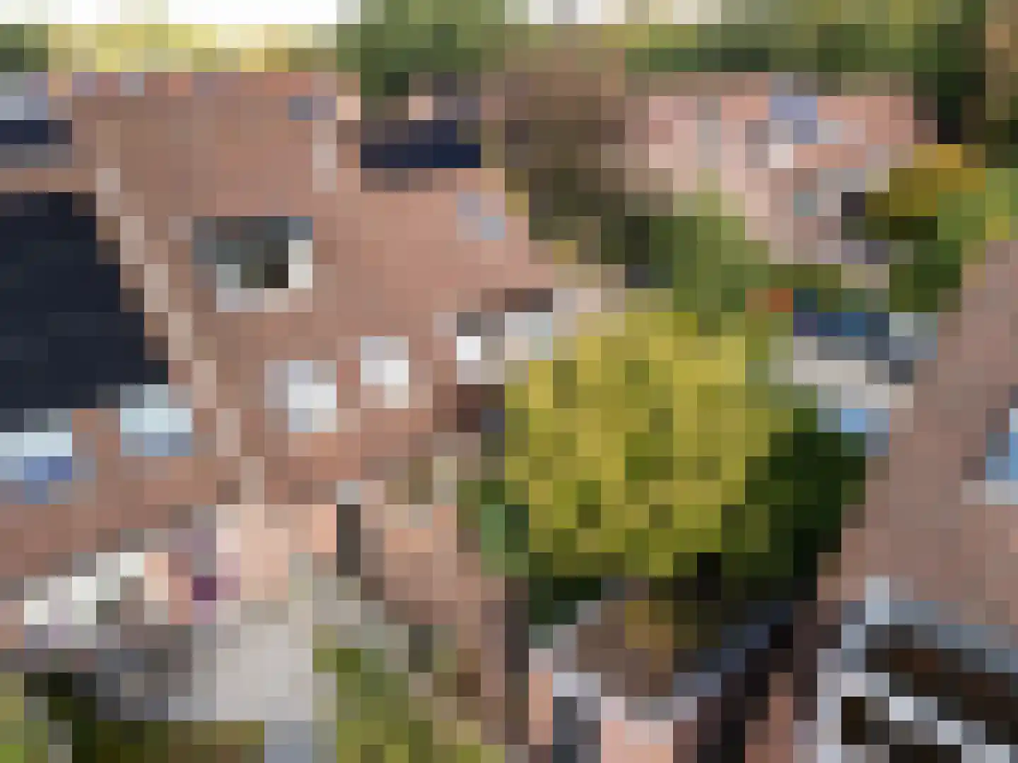 Chopinlaan 14 Zeist thumbnail 16