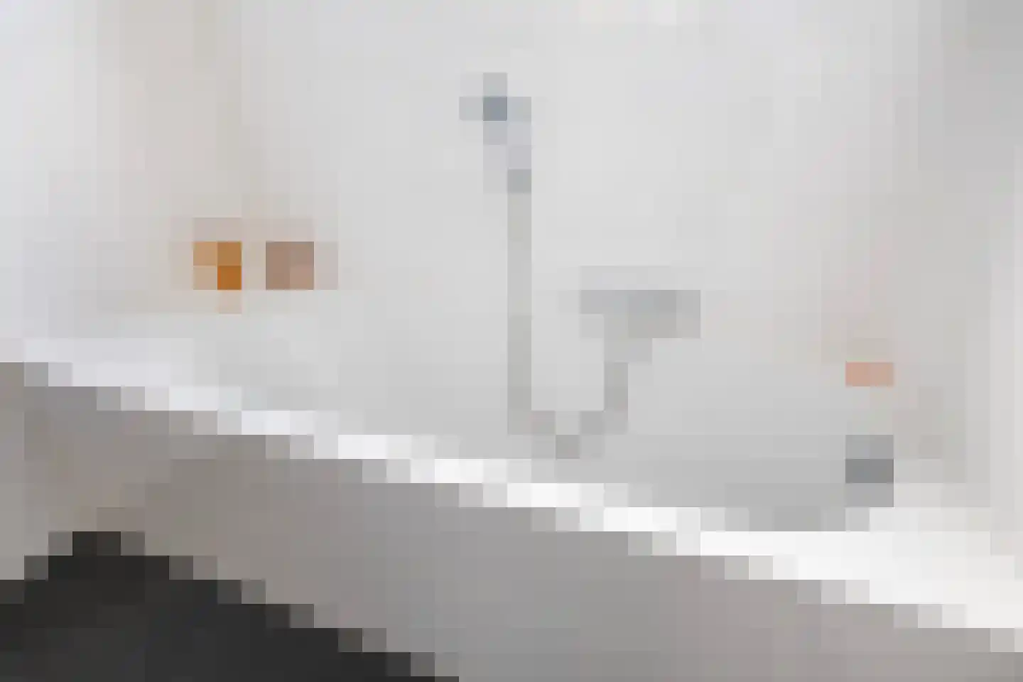 Chopinlaan 14 Zeist thumbnail 22