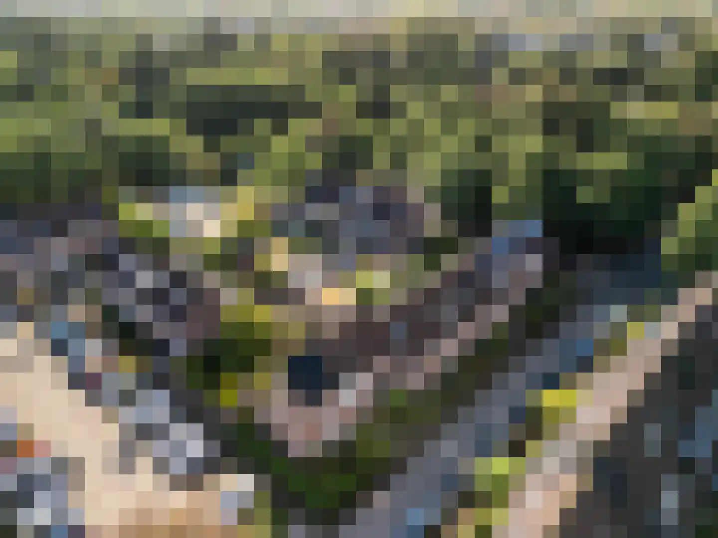 Chopinlaan 14 Zeist thumbnail 30