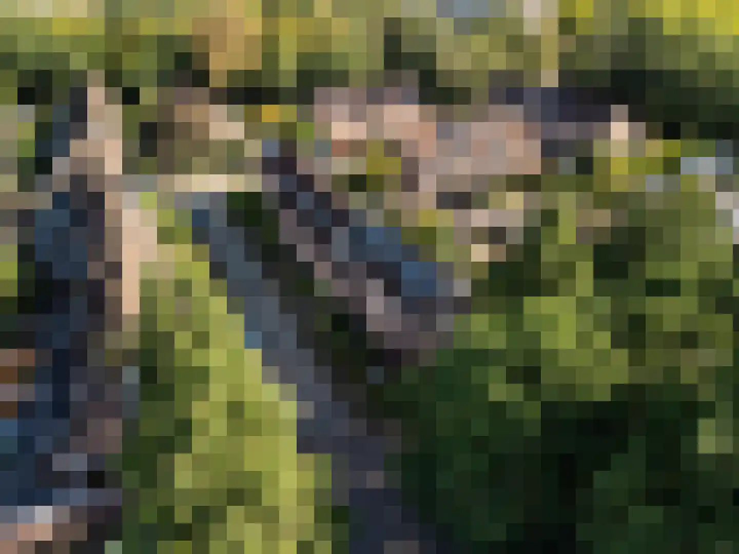 Chopinlaan 14 Zeist thumbnail 31
