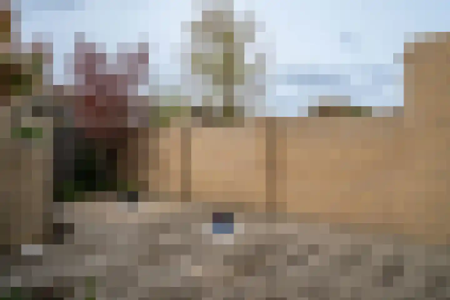 Chopinlaan 15 Helmond thumbnail 34
