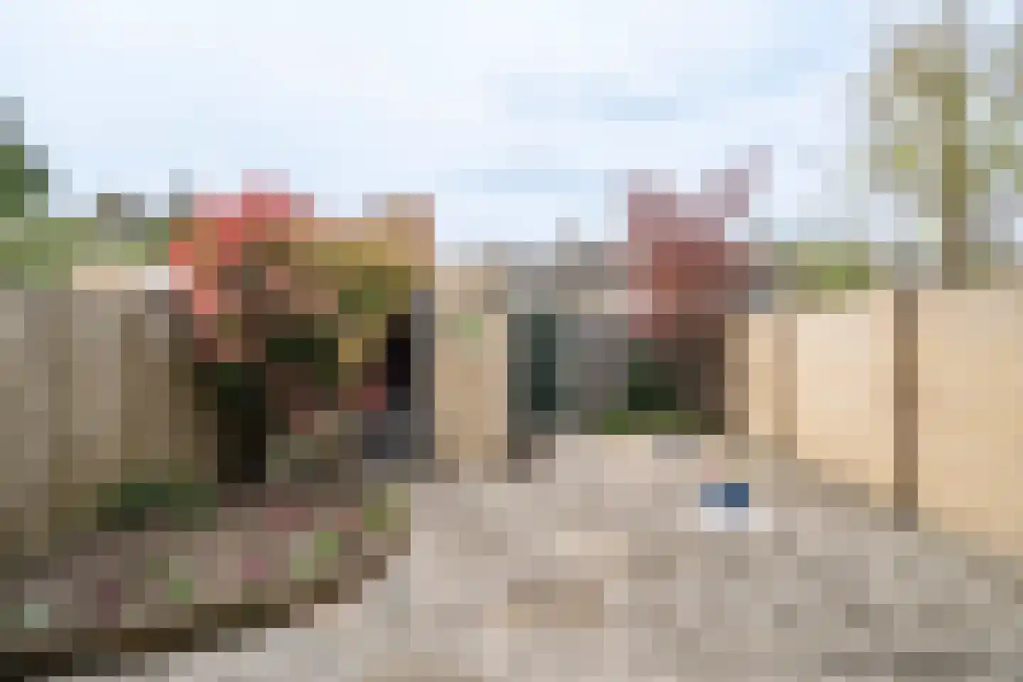 Chopinlaan 15 Helmond thumbnail 35